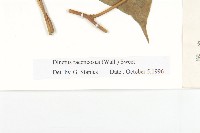 登錄號:S024940藏品圖，第4張