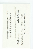 絞股藍藏品圖，第3張