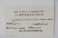 羊乳、四葉參藏品圖，第2張