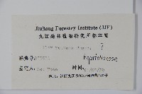 鐵冬青藏品圖，第2張