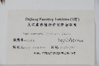 枸骨藏品圖，第2張