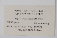 盾果草藏品圖，第2張