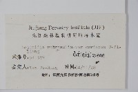 革葉獼猴桃藏品圖，第2張