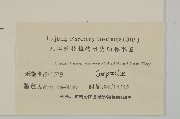 阿里山鬼督郵藏品圖，第3張