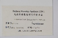 柳葉牛膝藏品圖，第2張