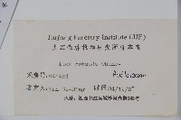 鐵冬青藏品圖，第2張