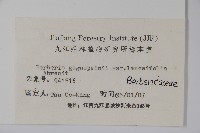 藍果小檗藏品圖，第2張