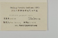 哥蘭葉藏品圖，第3張