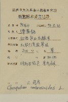 臭杏、土荊芥藏品圖，第2張