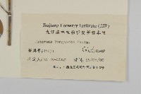 白杜藏品圖，第3張