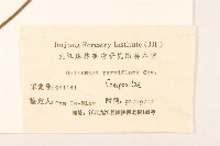 小米菊藏品圖，第3張