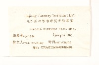 蔓黃菀藏品圖，第3張