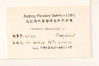 苦滇菜、苦菜藏品圖，第3張