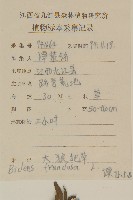 大狼把草藏品圖，第2張