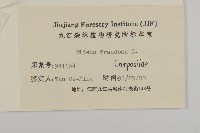 大狼把草藏品圖，第3張
