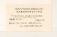 小米菊藏品圖，第3張