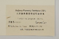 香鬼督郵藏品圖，第3張