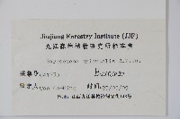 東方野扇花藏品圖，第2張