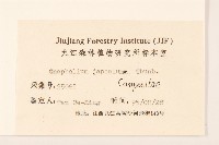 父子草、天青地白藏品圖，第3張