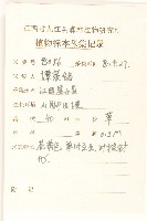 細葉苦實藏品圖，第2張