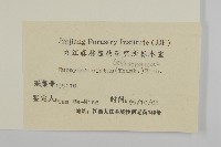 衛矛藏品圖，第3張