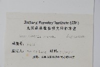 青榨槭藏品圖，第2張