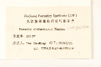 蒲兒根藏品圖，第3張