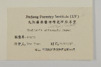 中國繁縷藏品圖，第3張