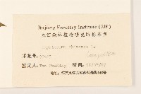 華澤蘭藏品圖，第3張