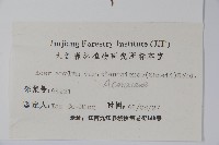 天台闊葉槭藏品圖，第2張