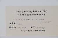 頂蕊三角咪藏品圖，第2張