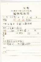 青莢葉藏品圖，第2張