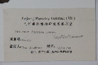 南方莢迷藏品圖，第2張