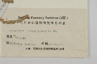 野艾蒿藏品圖，第3張