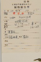 大狼把草藏品圖，第2張