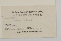 大狼把草藏品圖，第3張