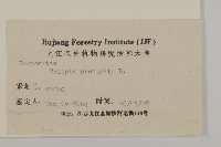 鱧腸藏品圖，第3張