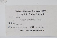 頭序蔥木藏品圖，第2張