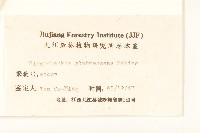 毛梗豨薟藏品圖，第3張