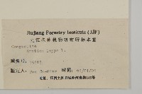 牛蒡藏品圖，第3張