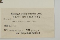 山白蘭藏品圖，第3張