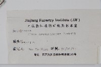 榿木藏品圖，第2張