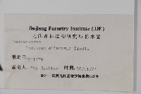 冇骨消藏品圖，第2張