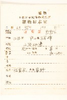 一枝黃花藏品圖，第2張