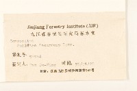 一枝黃花藏品圖，第3張