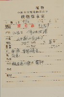 粗齒兔兒傘藏品圖，第2張