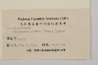 草珊瑚、紅果金粟蘭藏品圖，第3張