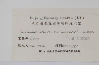 異色獼猴桃藏品圖，第2張