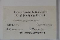 高山莢迷藏品圖，第2張