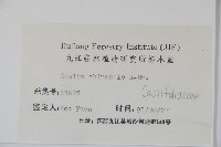 臺灣糯米條藏品圖，第2張